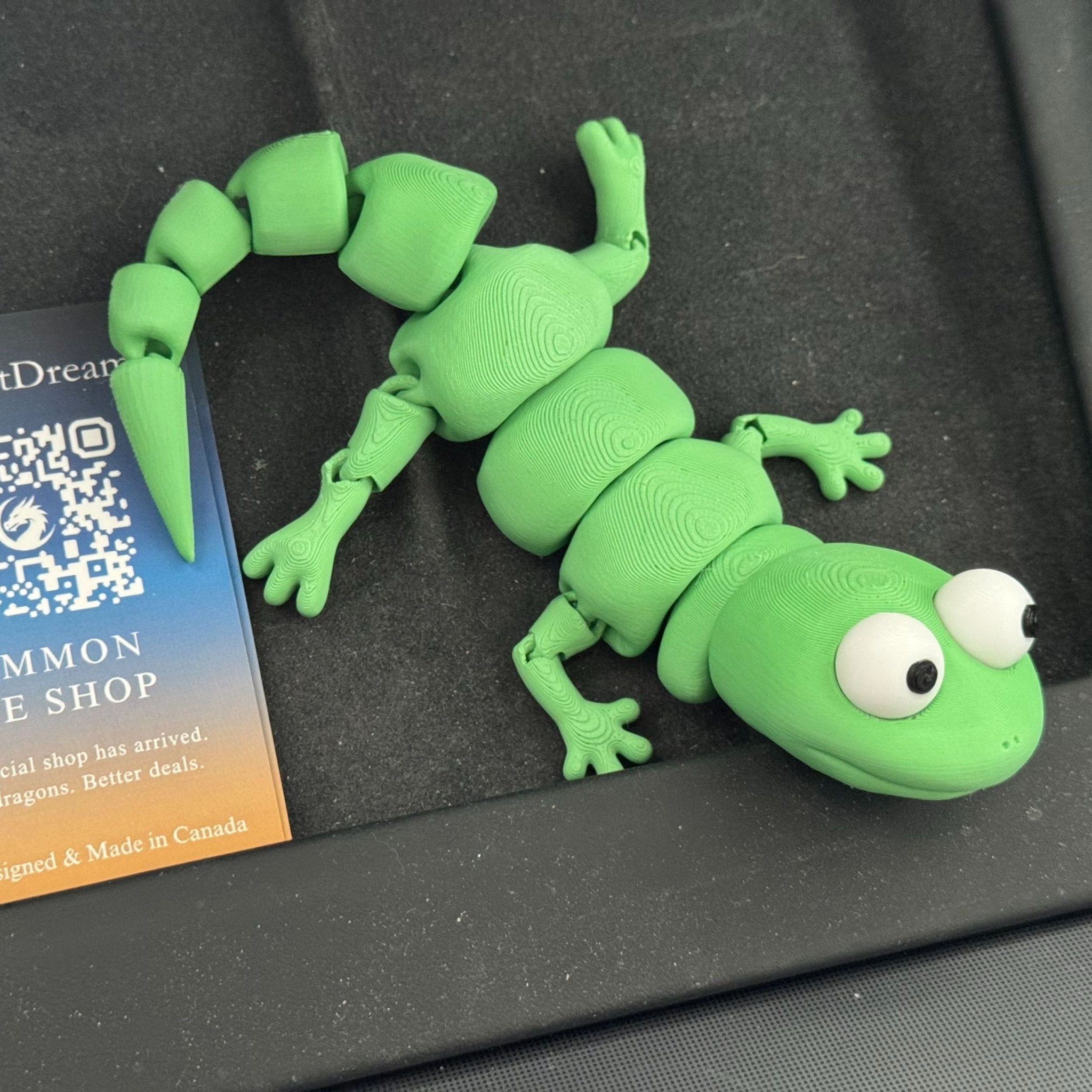 Tom the Lizard 🦎 - TimPrintDreams